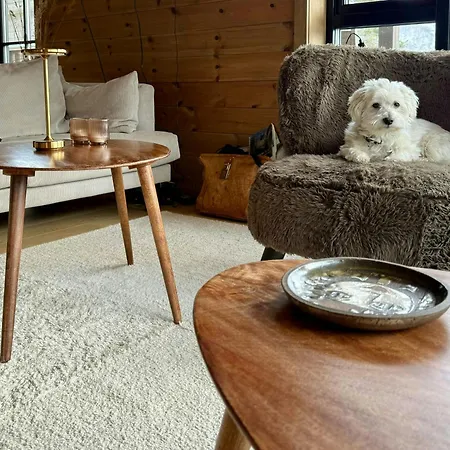 With Sauna And Waterfall In Sirdalen 度假居